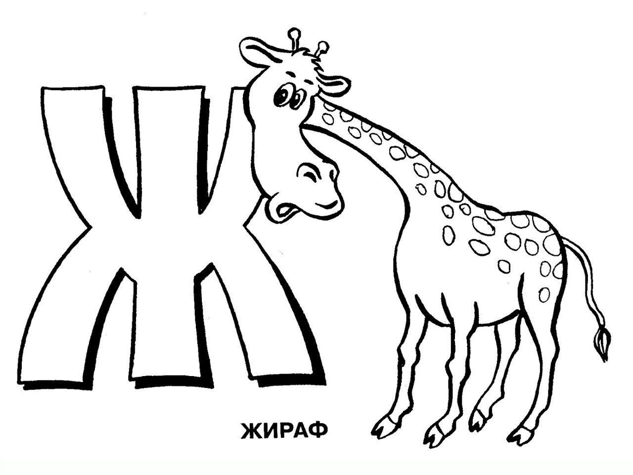 Жирафик 2