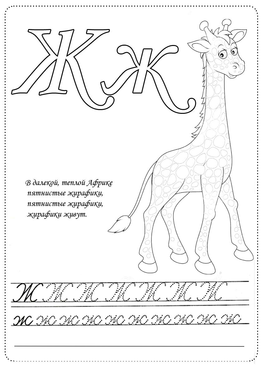 Жирафик 2