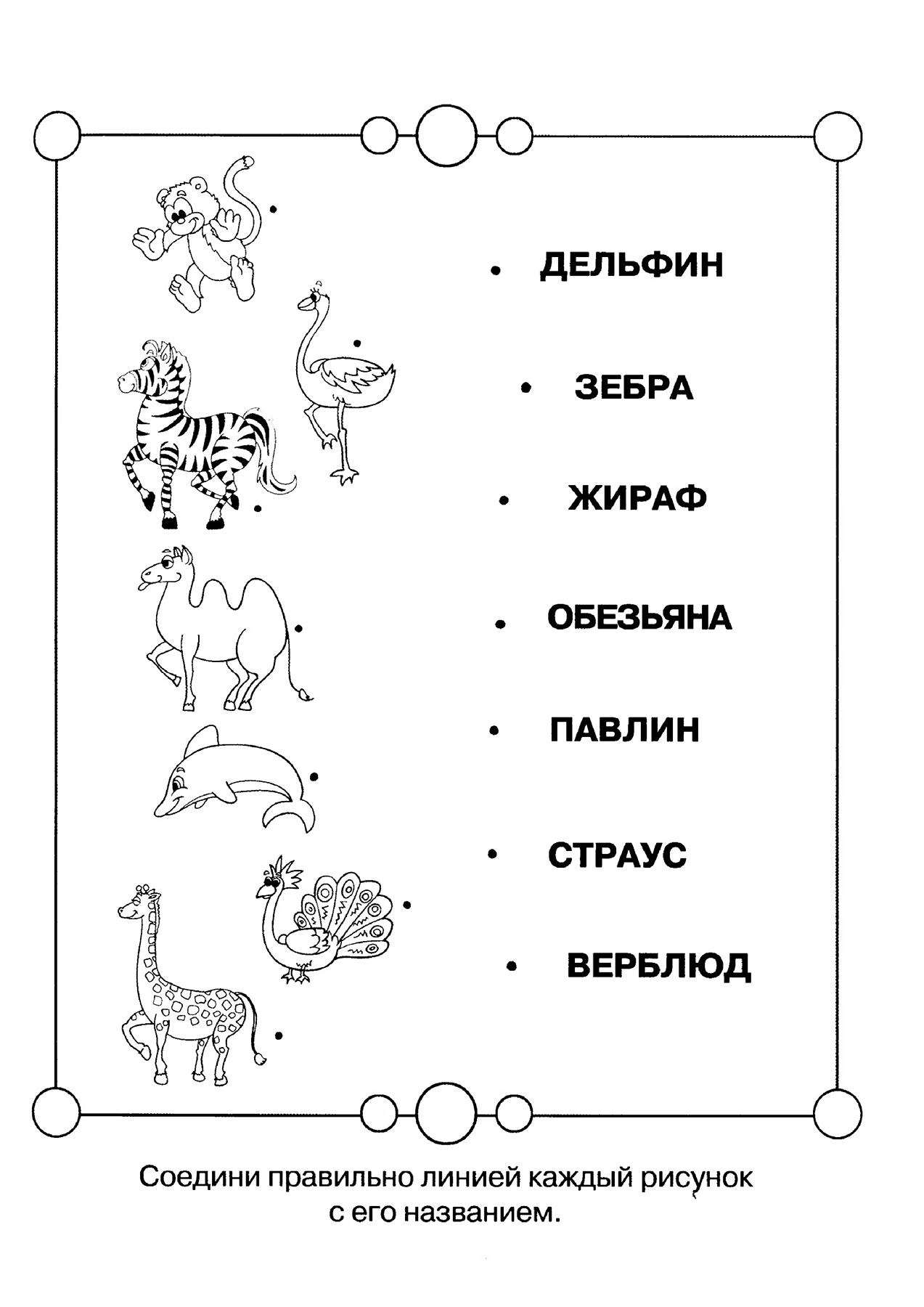 Животные