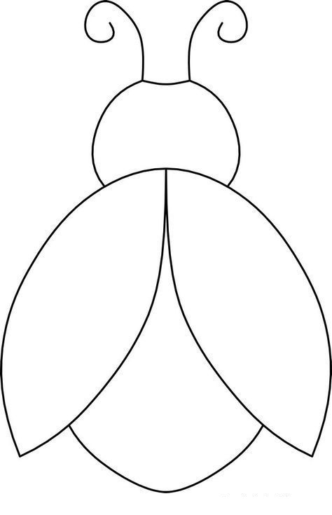 жук 2