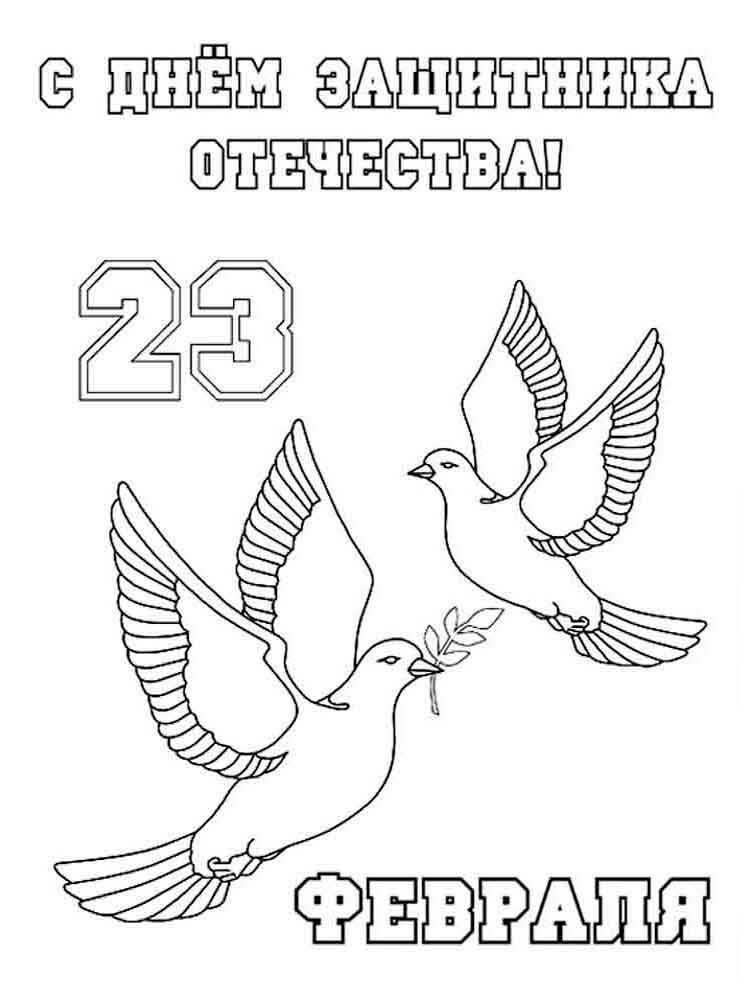 23 февраля. Голуби