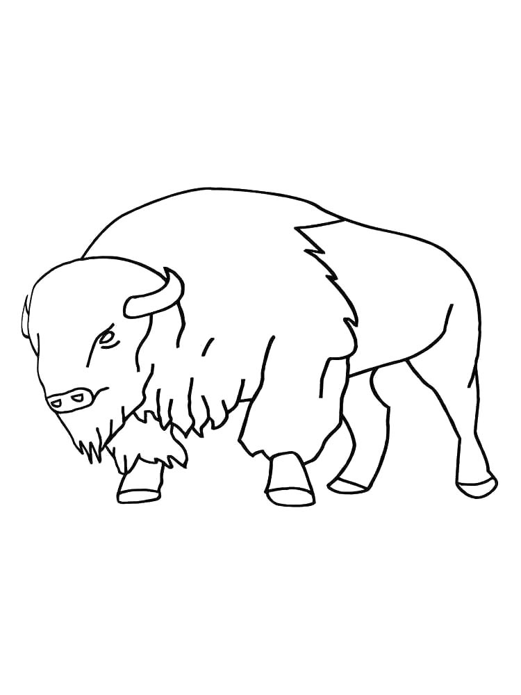 Американский бизон
