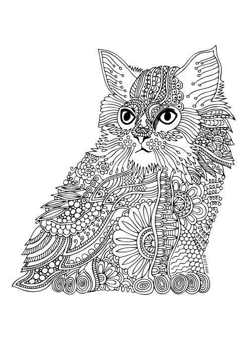 антистресс котик