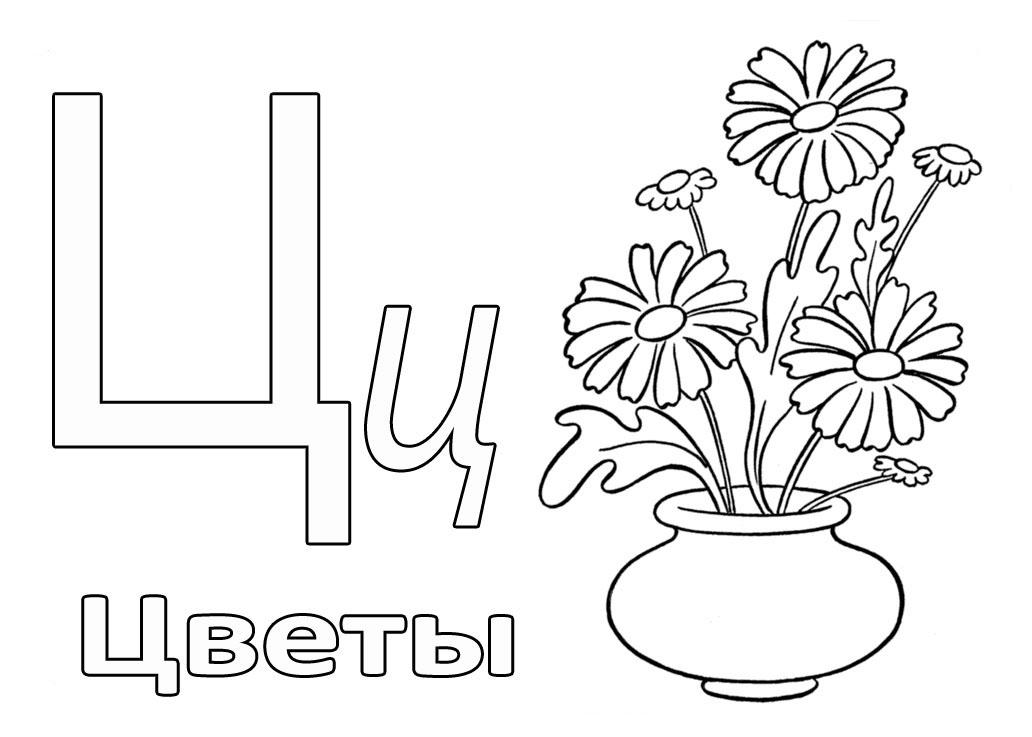 Азбука в картинках Ц