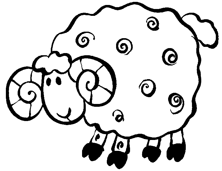 Барашка