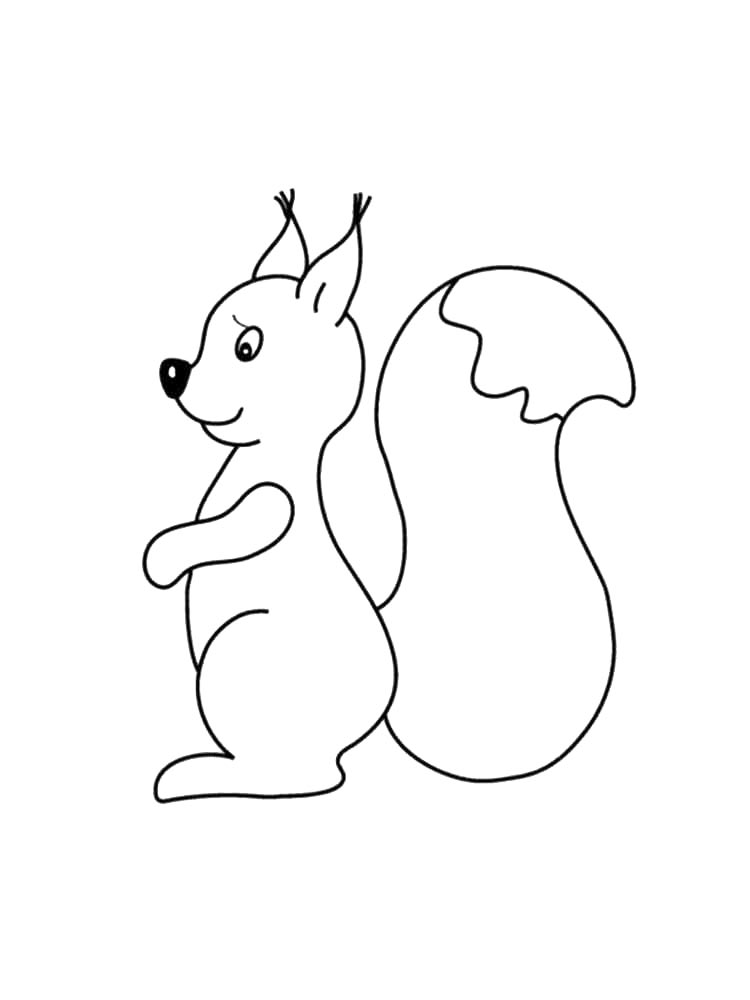 Белка для аппликаций