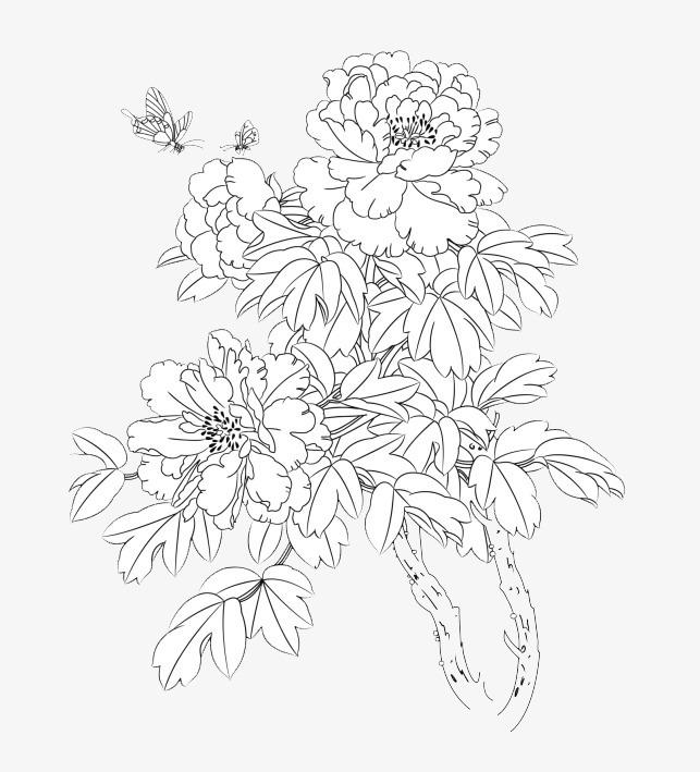 Букет из пионов