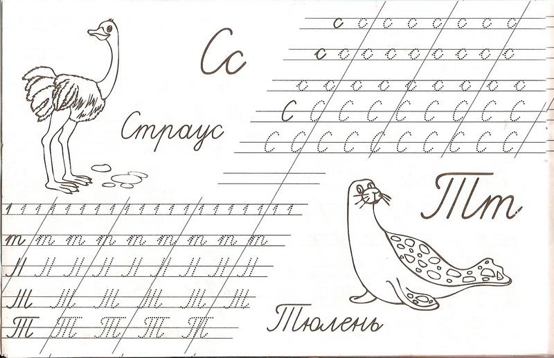 Буквы С и Т