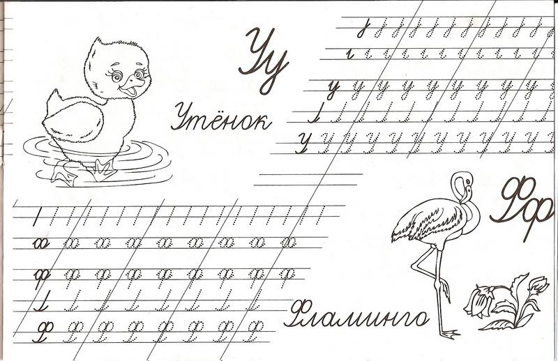 Буквы У и Ф