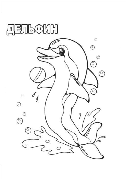 Дельфин 2
