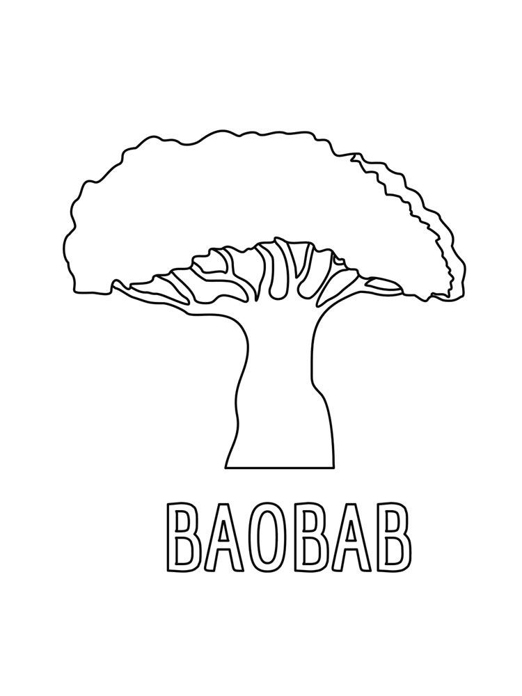 Дерево баобаб