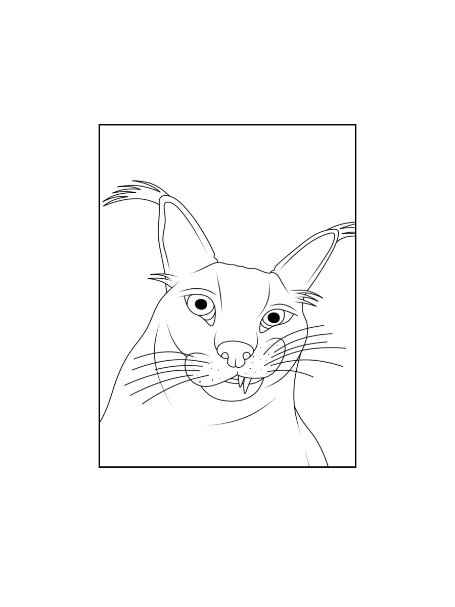 Детская раскраска кот 2