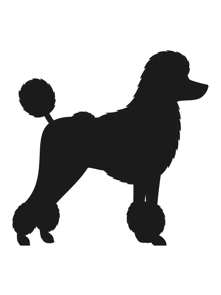 Детская раскраска трафареты пуделя