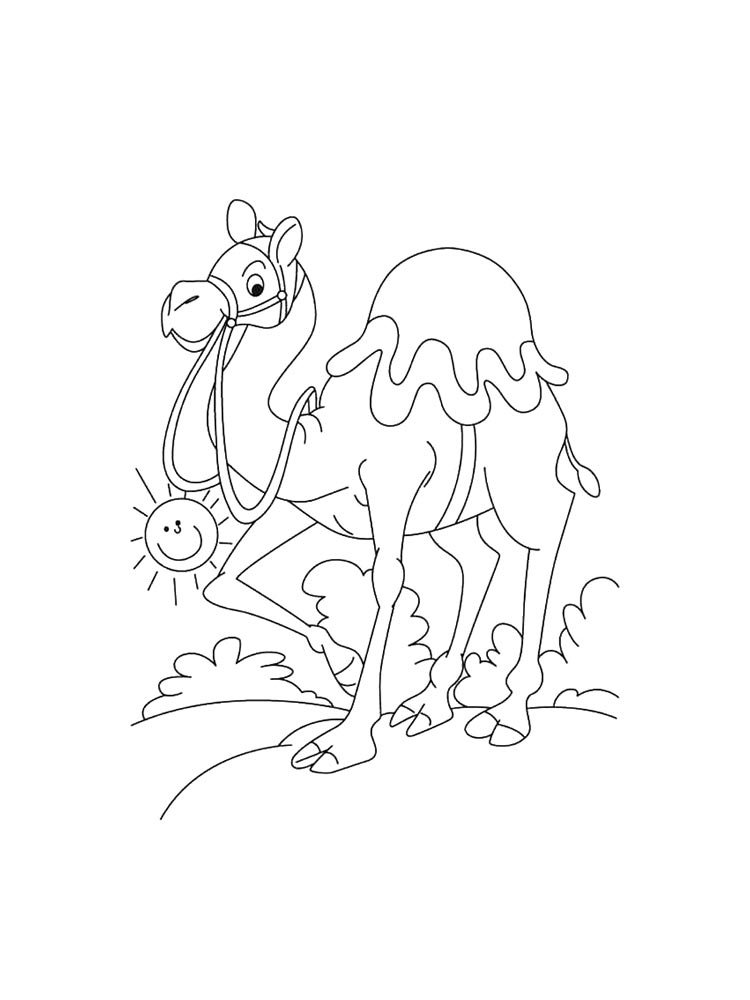 Дикие животные для раскрашивания 3
