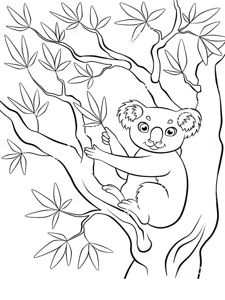 Довольная коала