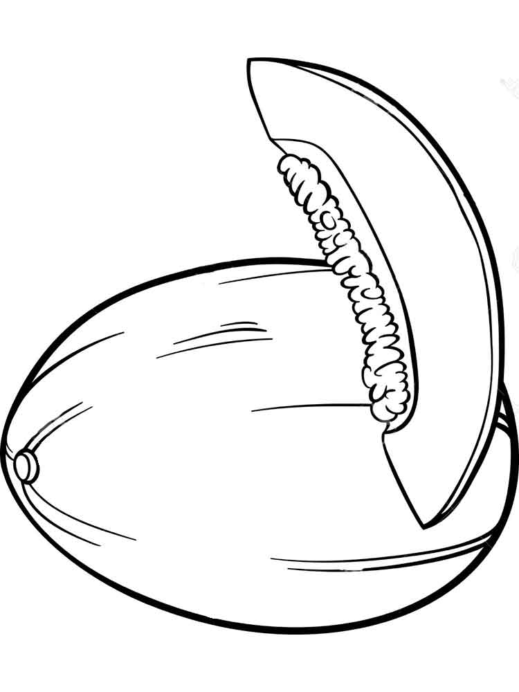 Дыня с долькой