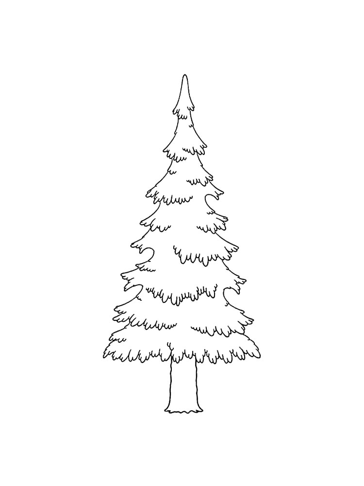 Ель черно-белая раскраска