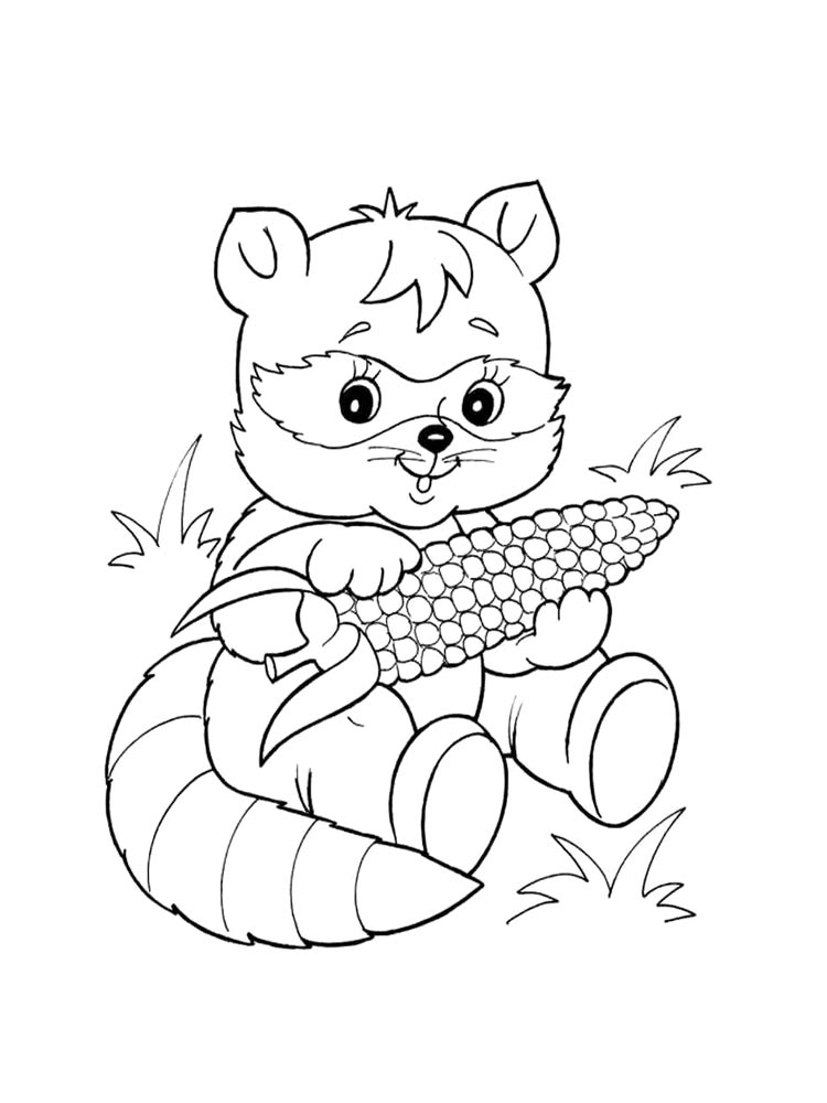 Енот с кукурузой