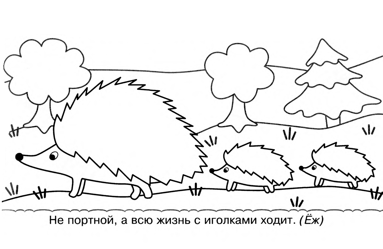 Ежик 2