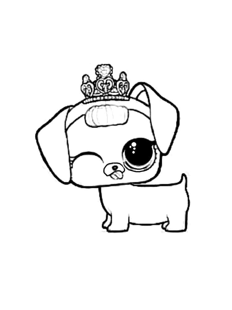 Fancy Haute Dog