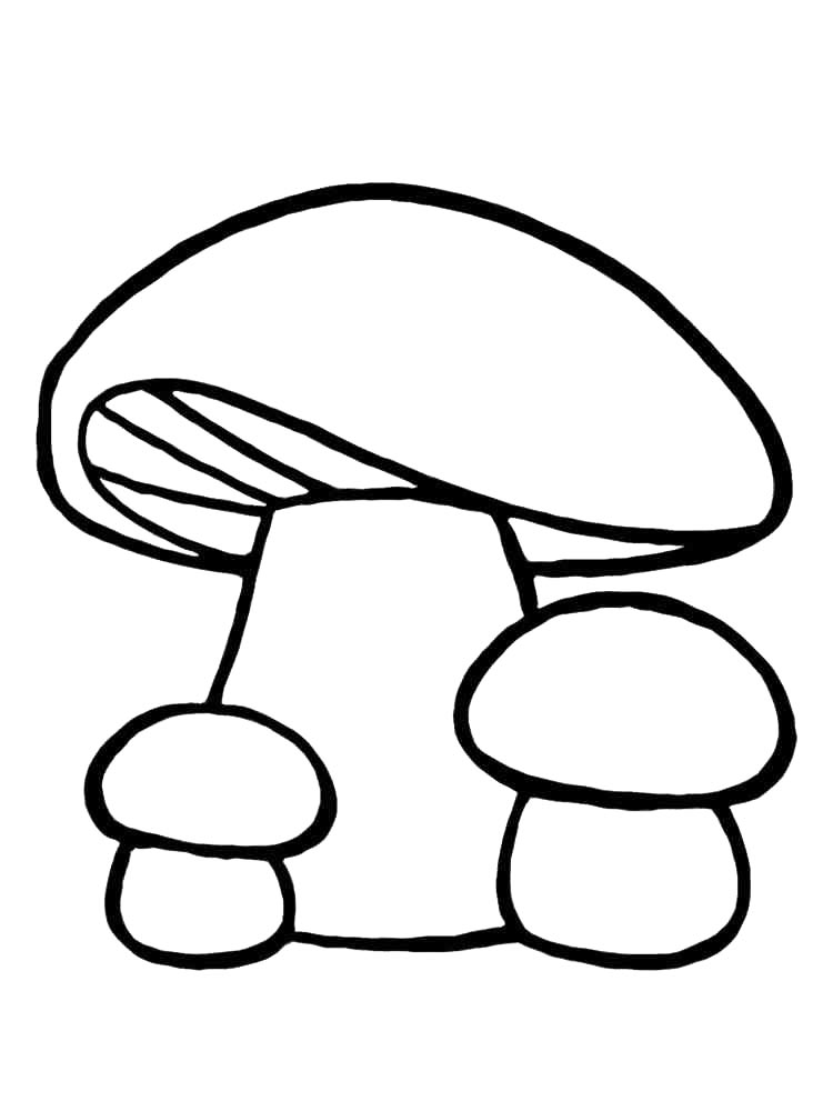 Грибы 2