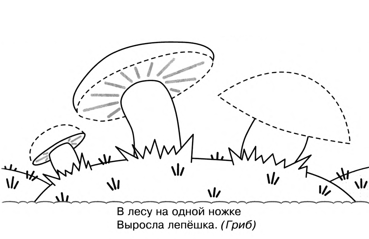 Грибы 2