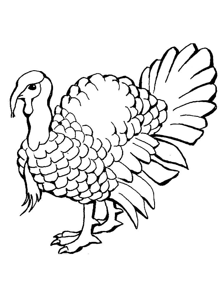 Индюк 2