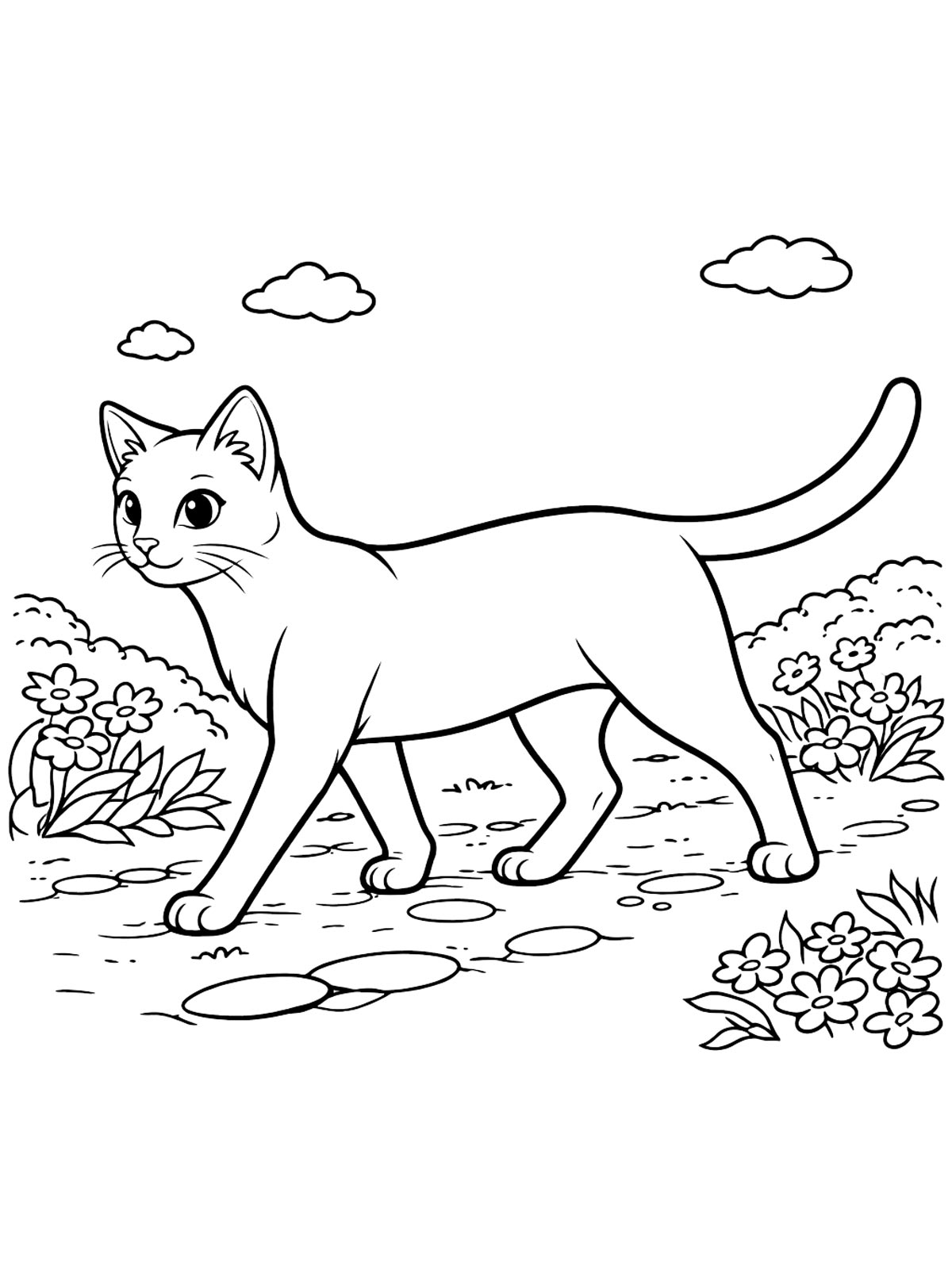 Изящная короткошерстная кошка