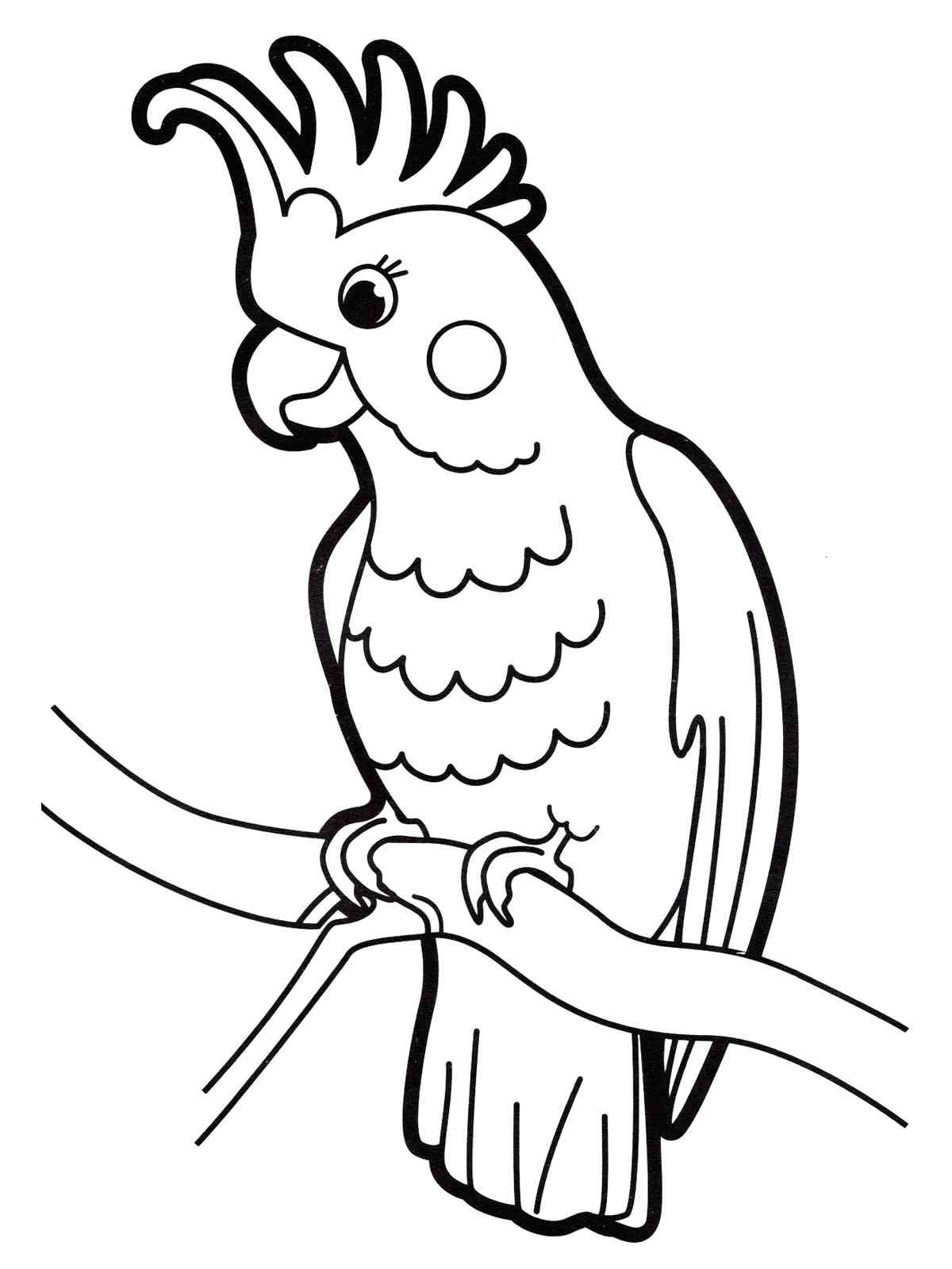 Какаду рисунок для раскрашивания