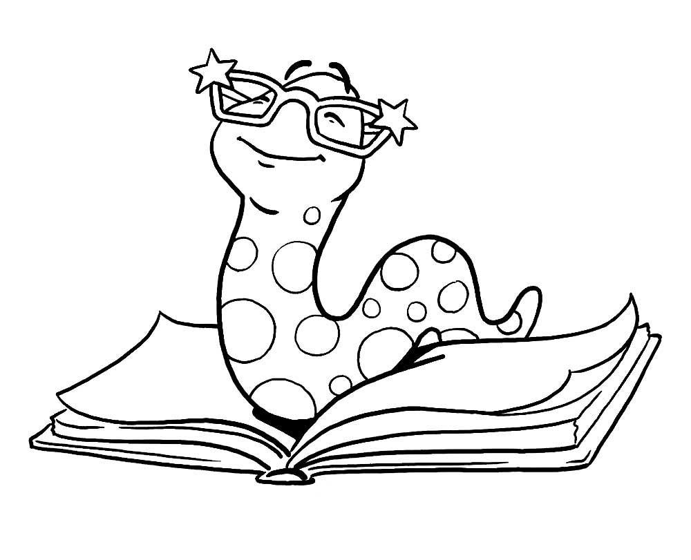 Картинка Книга