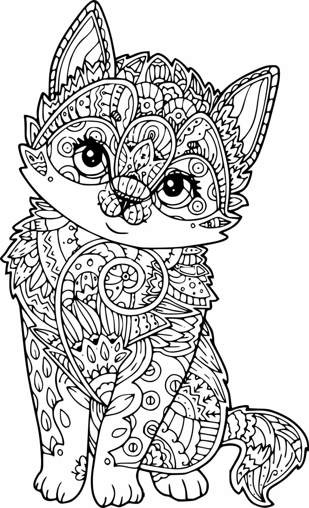 картинка кошка