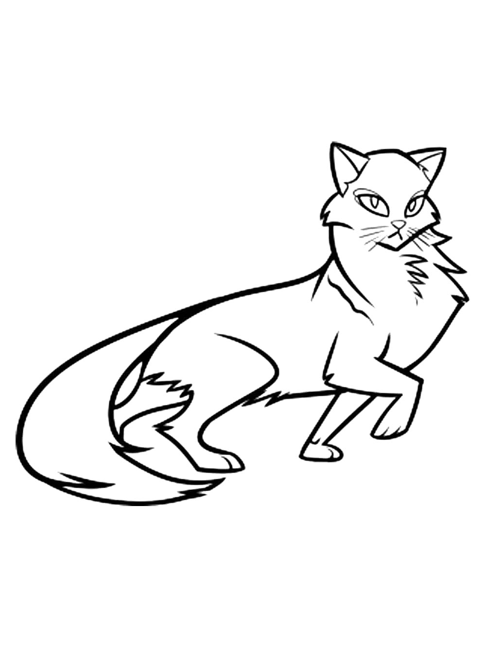 Картинка коты воители раскраска 3