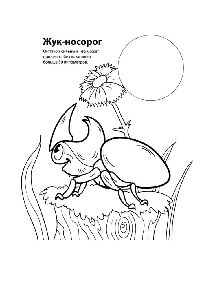 Картинка раскраски красная книга раскраска 2