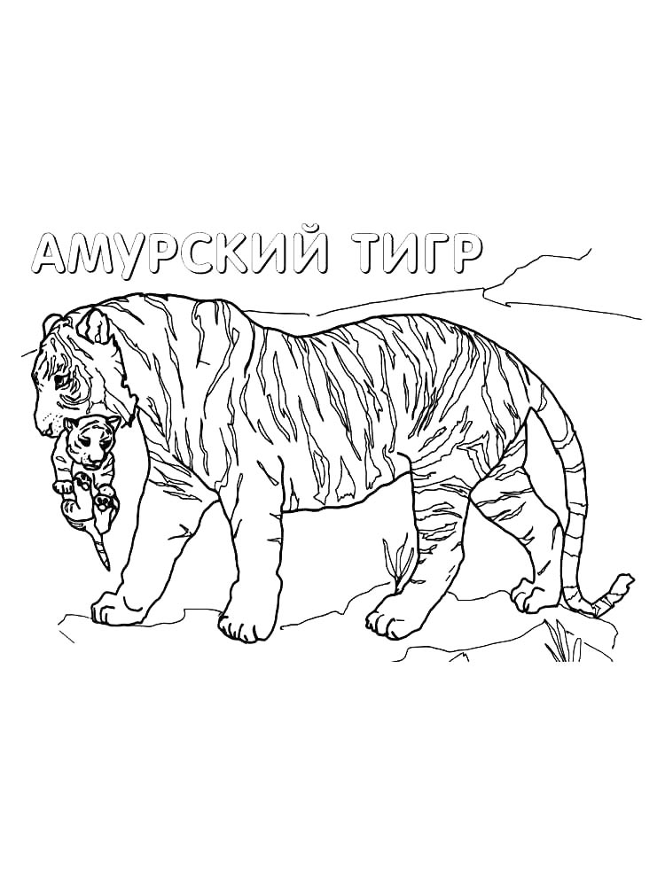 Картинка раскраски красная книга раскраска