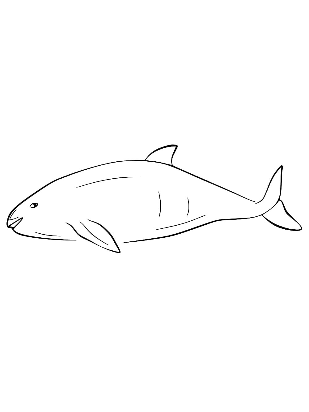 Картинка раскраски морская свинья раскраска