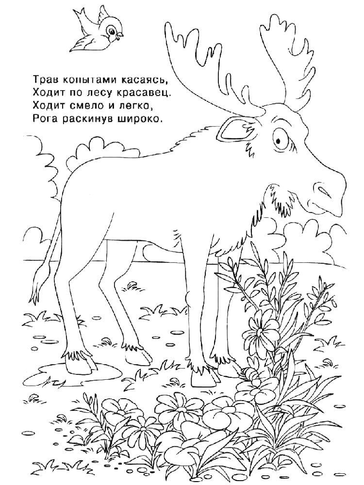 Картинка раскраски с загадками раскраска