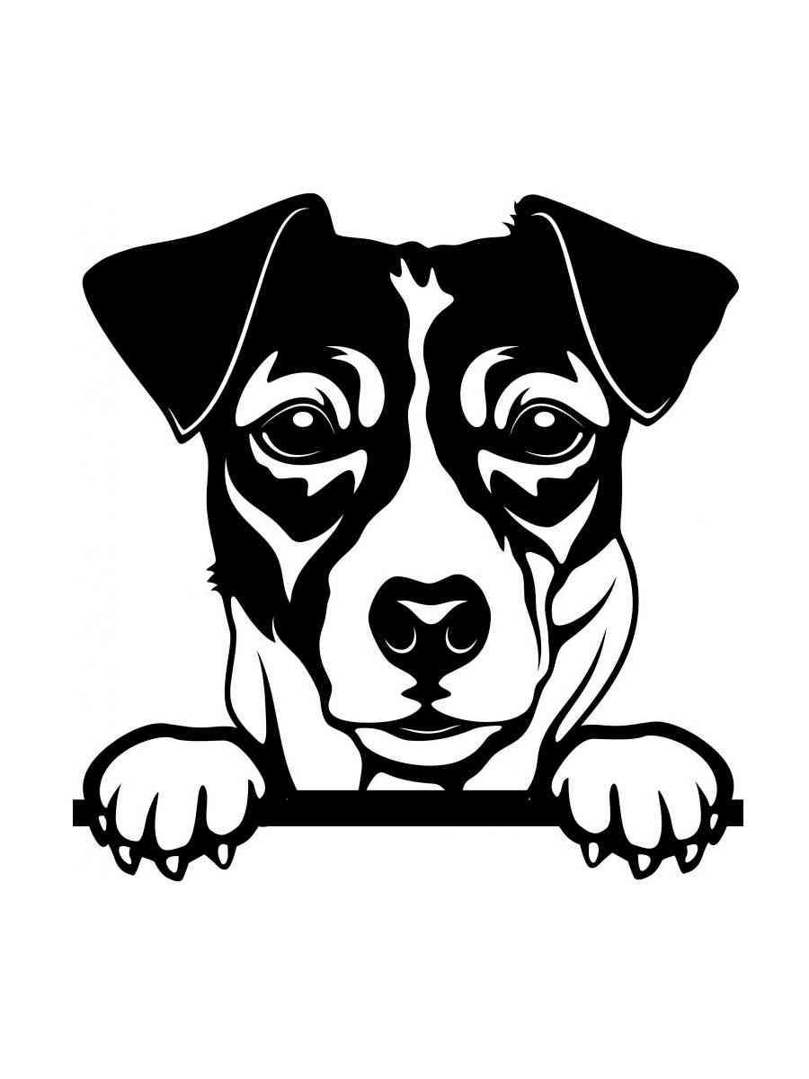 Картинка трафареты джек-рассел-терьера раскраска