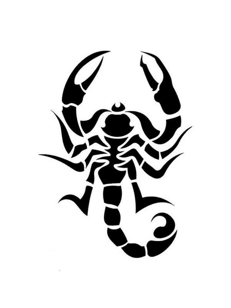 Картинка трафареты скорпиона раскраска 2