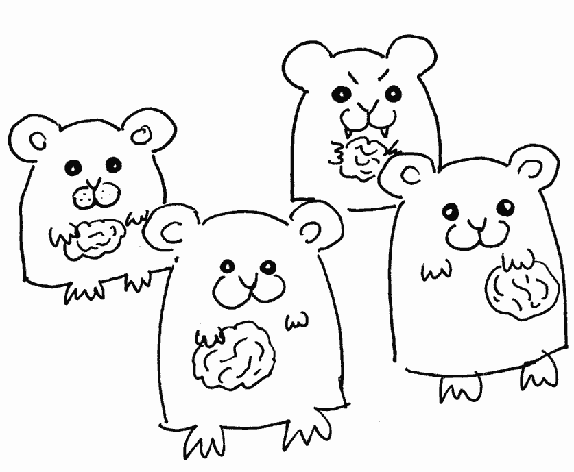 Хомячки