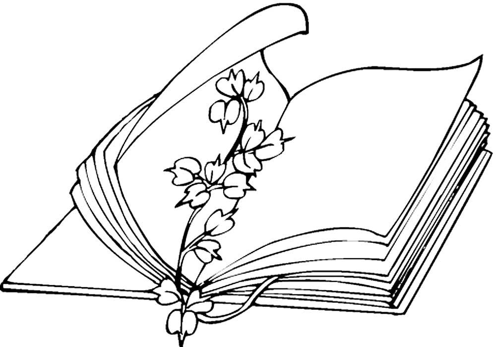 Книга с растением