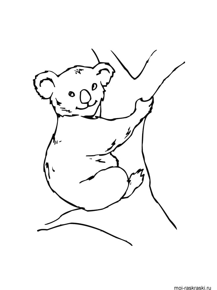 Коала 2