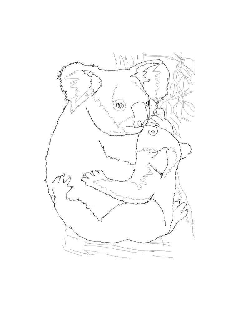 Коала черно-белая раскраска 2