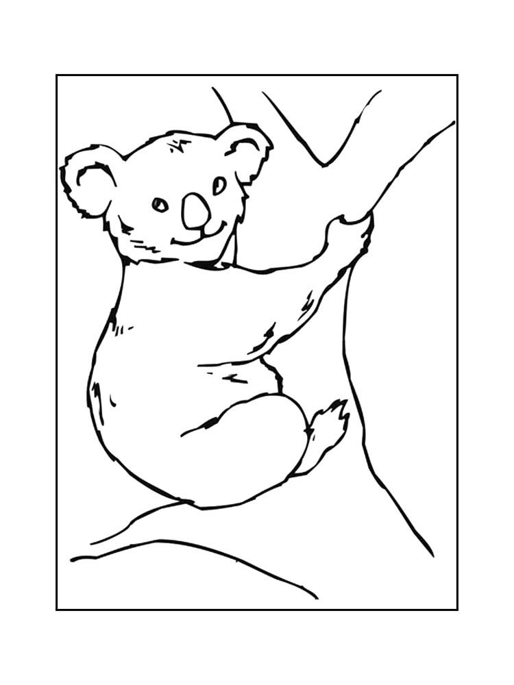 Коала черно-белая раскраска 5