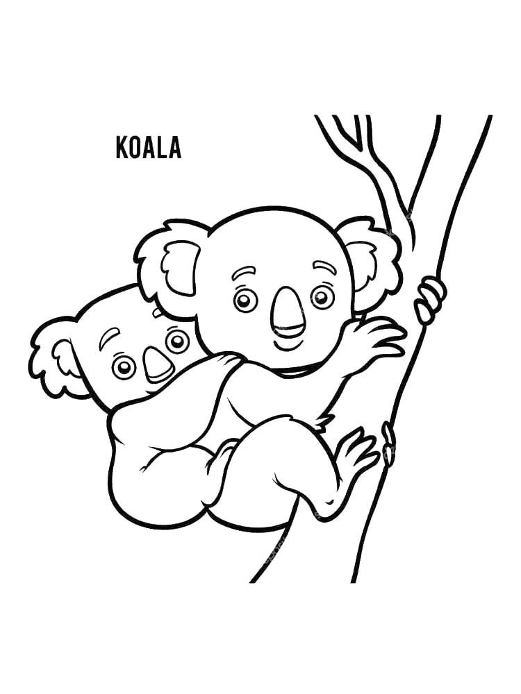 Коала для раскрашивания