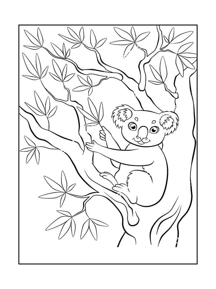 Коала раскраска для детей 2