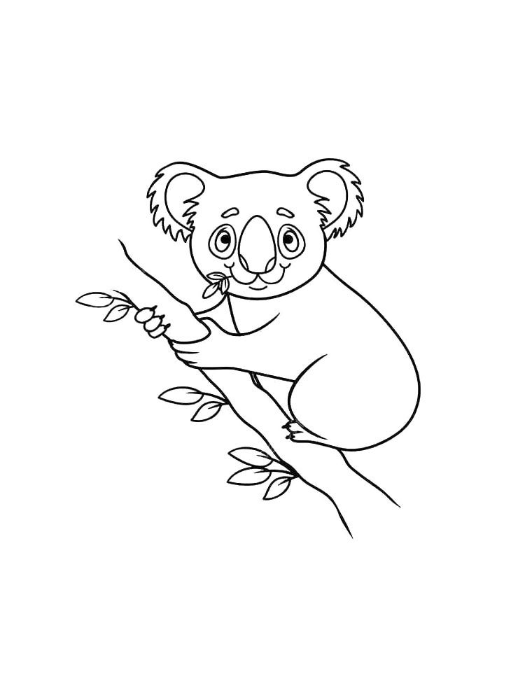 Коала раскраска для детей