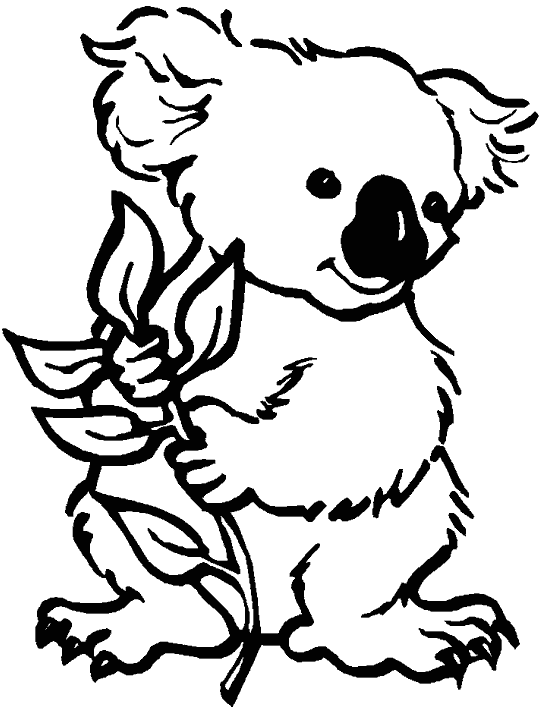 Коала с веткой
