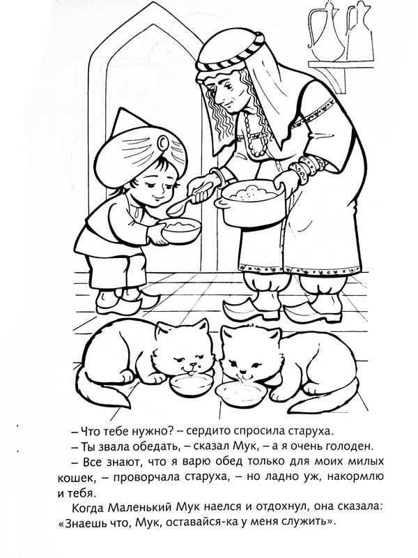 Кормление котов