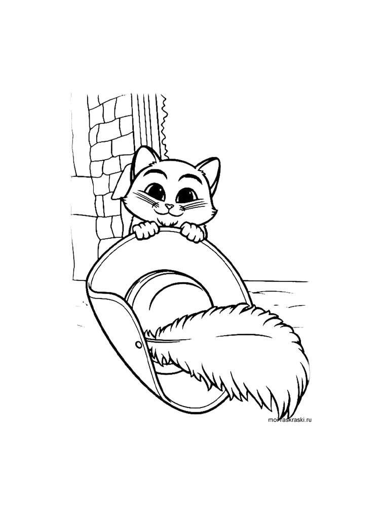 Кот для раскрашивания 9