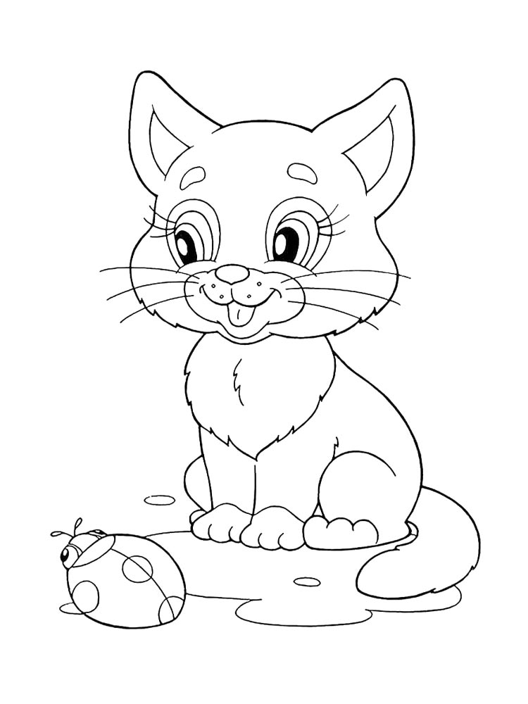 Котенок и божья коровка
